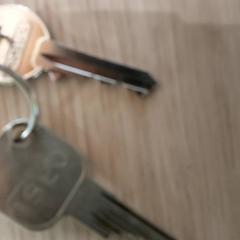 İLost kullanarak Regio Antwerpen - Brussel tarafından bildirildiği gibi Anahtarlar