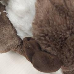 Toy Loutre IKEA, as reported by IKEA Clermont Ferrand using iLost