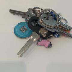 Clau, segons ha informat Arriva Limburg Zuid mitjançant iLost