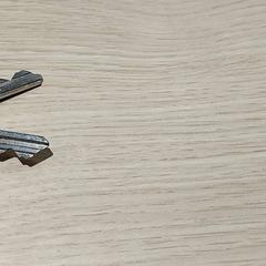 Sleutels がiLostで Centraal magazijn によって報告されました