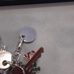 Sleutelbos, amint azt Walibi Holland az iLost segítségével jelentette.