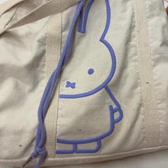 Bag, som rapportert av HTM ved bruk av iLost