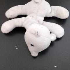 Knuffel, come riportato da Qbuzz servicepunt  Emmen utilizzando iLost