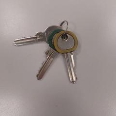 Clés Geel Groen., a été signalé par Vrije Universiteit Amsterdam utilisant iLost