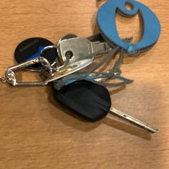 Nøkkel Op naam Lodewijk, som rapportert av Gemeente Amsterdam ved bruk av iLost