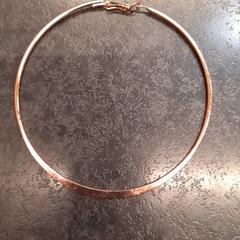 Arracada, segons ha informat Rotterdam The Hague Airport mitjançant iLost