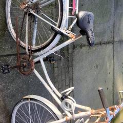 Emakumeen bizikleta, gisa salatu by Stadswerk072 iLost erabiliz