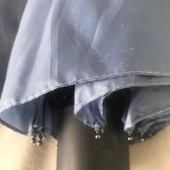 blue HEMA umbrella, iLost에 보고됨