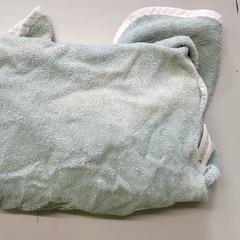 Diversos - Badjas, segons ha informat Regio Limburg - Leuven mitjançant iLost