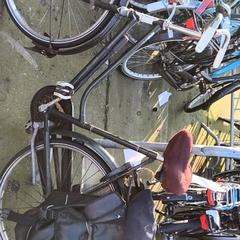 Női kerékpár Vesting, amint azt Stadswerk072 az iLost segítségével jelentette.