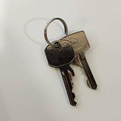 İLost kullanarak Centraal magazijn tarafından bildirildiği gibi Anahtarlar zilver