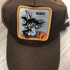 Pet, ako bolo nahlásené Pathé Helmond pomocou iLost