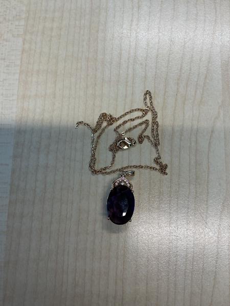 Necklace Paarse hanger