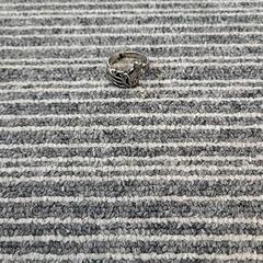 Anel, como reportado por Pathé Delft utilizando o iLost