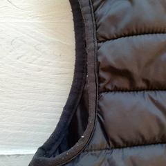 Testmelegítő Zwart, amint azt DierenPark Amersfoort az iLost segítségével jelentette.