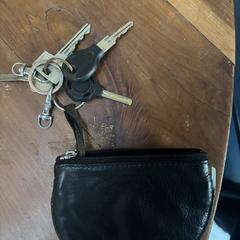 Sleutelbos met zwart etuitje, iLost에 보고됨