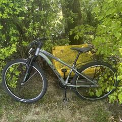 Fiets, ako bolo nahlásené iLost