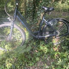 Damesfiets, som rapporterats till iLost