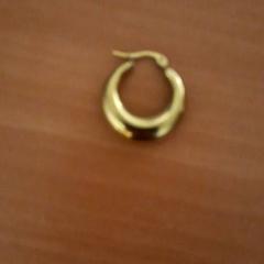 Örhänge, rapporterat av Grand Hotel Amrath Kurhaus med iLost