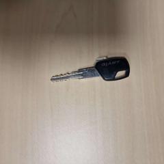 Key Giant, as reported by Gemeente Roermond using iLost