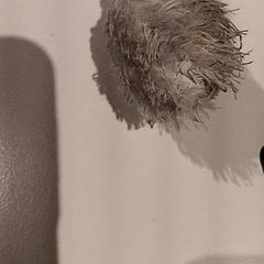 Knuffel, as reported by De Efteling using iLost