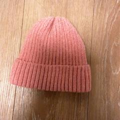 Beanie & Kšiltovka, jak nahlášeno Diergaarde Blijdorp pomocí iLost