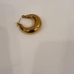 Brinco Goudkleurig, como reportado por HvA Amstelcampus utilizando o iLost