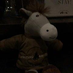 Toy, as reported by Van der Valk Hotel Amsterdam Zuidas using iLost