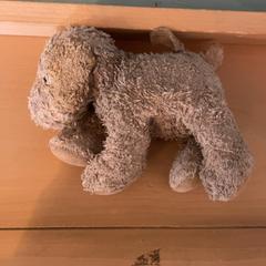 Peluxea, gisa salatu by Familie Resort Molenwaard iLost erabiliz