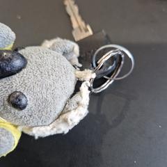 Kľúč od bicykla, ako bolo nahlásené Gemeente Ermelo pomocou iLost