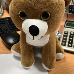 Ourson, gemeldet von Sheraton Brussels Airport Hotel über iLost