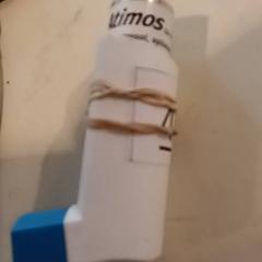 Puffer, jak nahlášeno Pukkelpop pomocí iLost