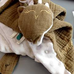 Manteta, segons ha informat IKEA Nantes mitjançant iLost