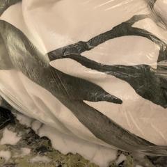 Almohada, ha sido reportado por Van der Valk Hotel Heerlen con iLost