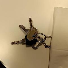 Sleutelbos, zoals gemeld door U-OV Amersfoort met iLost