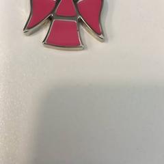 キーホルダー Roze engel がiLostで Arriva Limburg Noord によって報告されました