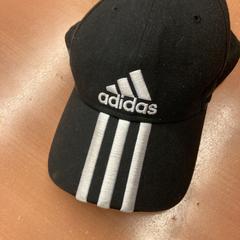 Pet, gemeldet von Pathé Eindhoven über iLost