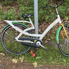 Fiets, iLost'a bildirildiği gibi