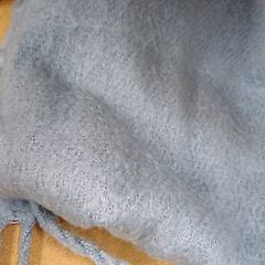 Sjal Blauw, rapporterat av Qbuzz GD Groningen Peizerweg med iLost