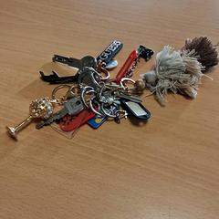キーホルダー Diversen sleutels がiLostで Gemeente Roermond によって報告されました