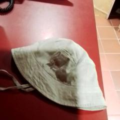 Hoedje، كما تم الإبلاغ عنه بواسطة Apenheul عبر iLost