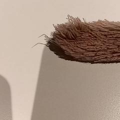 İLost kullanarak De Efteling tarafından bildirildiği gibi Knuffel