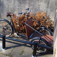 bakfiets, ako bolo nahlásené iLost