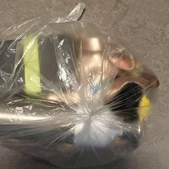Taška - Plastiek tas, jak nahlášeno Regio Oost-Vlaanderen pomocí iLost