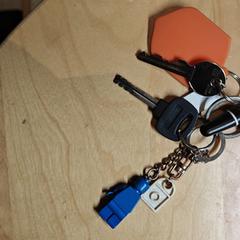 Sleutelbos, como reportado ao iLost