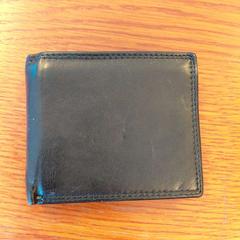 المحافظ Zwart، كما تم الإبلاغ عنه بواسطة Regio Oost-Vlaanderen عبر iLost