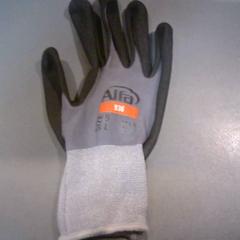 Gant, a été signalé par SnowWorld Landgraaf utilisant iLost