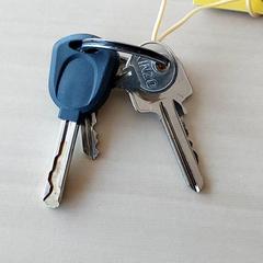 İLost kullanarak Centraal magazijn tarafından bildirildiği gibi Anahtar - 4 sleutels aan een ring