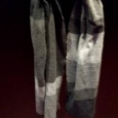 شال Grijstinten، كما تم الإبلاغ عنه بواسطة TivoliVredenburg عبر iLost