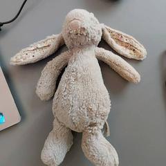 Mantita, ha sido reportado por IKEA Nantes con iLost